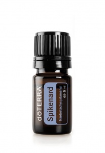 Spikenard